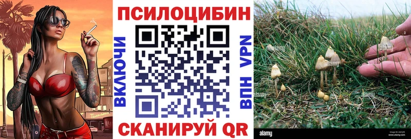 Псилоцибиновые грибы мицелий  цена наркотик  MEGA вход  Эртиль 